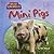 Mini Pigs (Mini Animals)