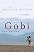 Gobi: Die Wüste in mir (German Edition)