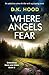 Where Angels Fear