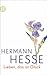 Lieben, das ist Glück by Hermann Hesse