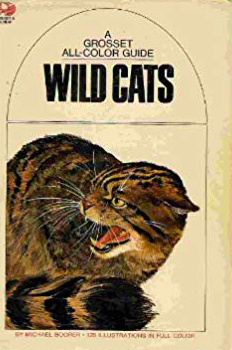 Wild Cats (Paperback)