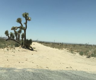 Edward Abbey Walks Into A Bar