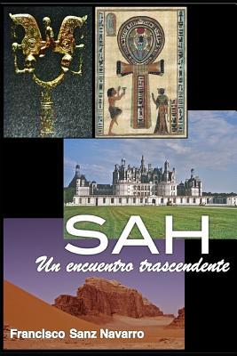SAH, un encuentro trascendente (Spanish Edition)