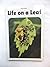 Life on a Leaf (Nature Books)