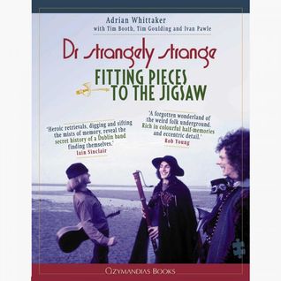 Dr Strangely Strange Fitting pieces to the jigsaw