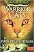 Fluss der Finsternis by Erin Hunter Fluss der Finsternis by Erin Hunter