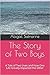 The Story of Two Boys: A Ta...
