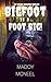 Big Foot is a Foot Big! by Maddy McNeel