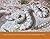 Rattlesnakes of Arizona Volume 2