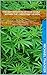 Cannabis And The Christian Church: A Clear And Concise Theological Examination of Cannabis And How The Church Should Approach It