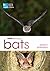 RSPB Spotlight Bats