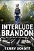 Interlude - Brandon (The Game is Life #3)