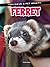 Ferret (You Have a Pet What?!)