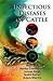 Infectious Diseases of Cattle