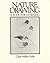 Nature Drawing: A Tool for Learning