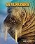 Walruses (Living in the Wild: Sea Mammals)