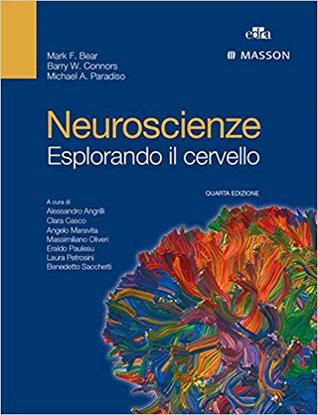 Neuroscienze. Esplorando il cervello