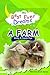 My BEST EVER Dream - THE FARM! by Ginny and Suess Dye