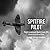 Spitfire Pilot: A Personal Account of the Battle of Britain