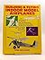 Building and Flying Indoor Model Airplanes