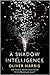 A Shadow Intelligence