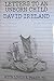 Letters to an Unborn Child by David       Ireland