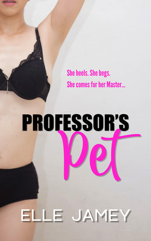 Professor's Pet (ebook)