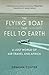 The Flying Boat That Fell to Earth by Graham Coster