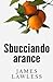 Sbucciando Arance (Italian Edition)