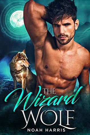 The Wizard Wolf (WindWard Triad, #1)