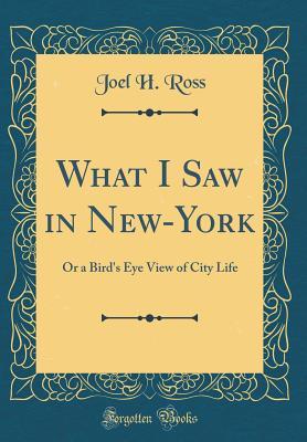 What I Saw in New-York: Or a Bird's Eye View of City Life (Classic Reprint)