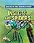 Insects and Spiders (100 Facts You Should Know)