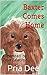 Baxter Comes Home: Illustrated by Zoya Zalatimo