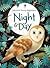 Night & Day