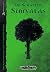Im Schatten Simyalas (Das Schwarze Auge Abenteuer, #150)