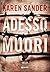 Adesso muori (Stadler & Montario, #4)