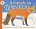 Book cover for Animals in Winter (Let's-Read-and-Find-Out Science. Stage 1)