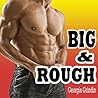 BIG & ROUGH (Collection of Taboo Erotic Stories Box Set)