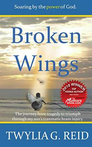 Broken Wings: The journey from tragedy to triumph through my son's traumatic brain injury. (Kindle Edition)