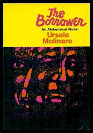 The Borrower: An alchemical novel (Hardcover)