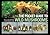 The Pocket Guide to Wild Mushrooms: Helpful Tips for Mushrooming in the Field