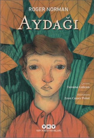 Aydağı (Paperback)