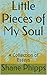 Little Pieces of My Soul: A...