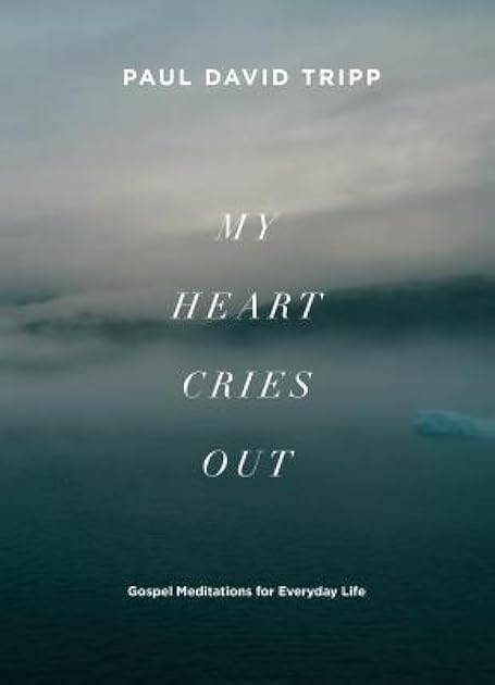 My Heart Cries Out: Gospel Meditations for Everyday Life