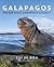 Galapagos by Tui De Roy