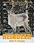 Reindeer: Wonderful Photos & Interesting Facts Book about Reindeer