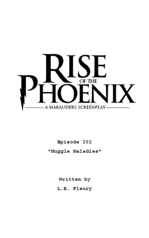 Muggle Maladies (Rise Of The Phoenix S02, #2)