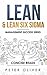 Lean & Lean Six Sigma: For Project Management (Management Success)
