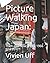 Picture Walking Japan: Then...