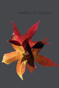Handful of Leaves, Volume II: an Anthology from the Majjhima Nikāya